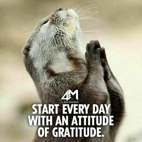 Magnificent Mindset - Picture 8 of 10